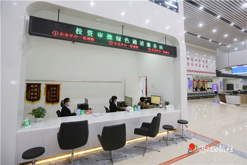 在廣東遂溪辦企業,簡直太爽了